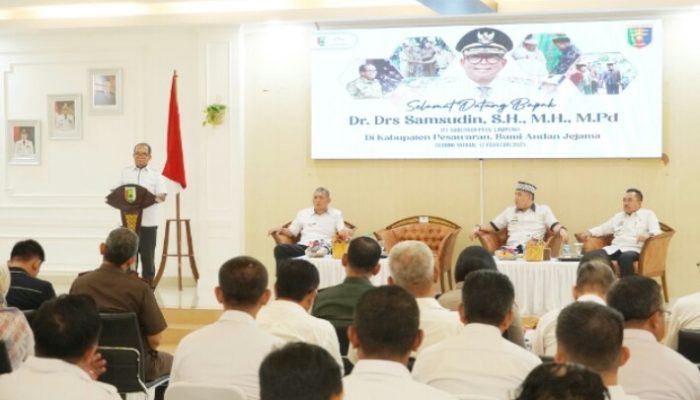 Bangun Kabupaten Pesawaran, Pj Gubernur Lampung Ajak Perkuat Kebersamaan