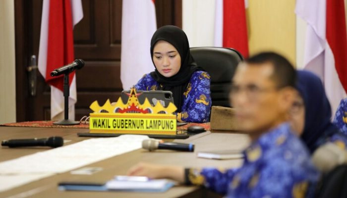 Wagub Lampung Dorong ASN dan Pegawai non-ASN Jadi Pelopor Suksesnya Program PKG di Masyarakat