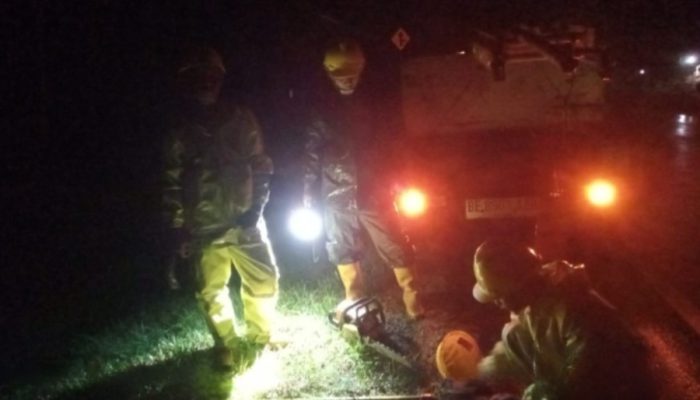 Jaga Keandalan di Hari Raya Paskah, PLN Lampung Gerak Cepat Pulihkan Gangguan Akibat Cuaca Ekstrem