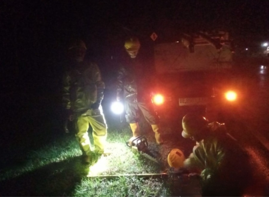 Persiapan Petugas Pelayanan Teknik ULP Sutami saat Proses Pemulihan Keandalan Jaringan Distribusi terdampak Pohon roboh akibat cuaca ekstrem || Foto: PLN UID Lampung