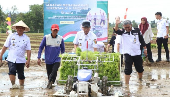 Gerakan Indonesia Menanam, Lampung Pacu Produksi Padi dan Serapan Gabah
