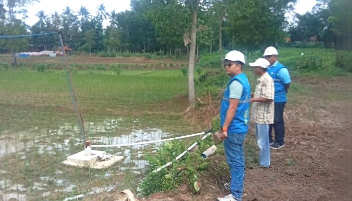 PLN Natar Hadirkan SPLU untuk Tingkatkan Produktivitas Petani