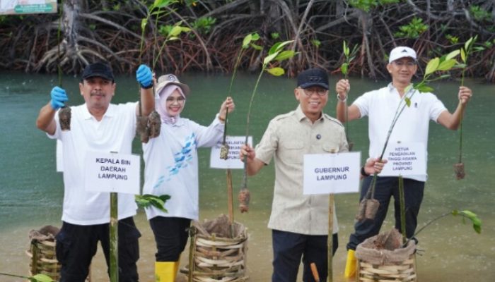 Gubernur Lampung Tanam Mangrove dan Tinjau Inovasi Appostrap di Pesawaran
