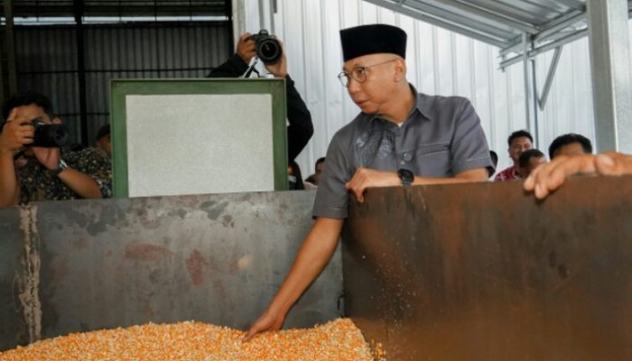 Langkah Nyata Tingkatkan Daya Saing Petani, Pemprov Lampung Salurkan Bantuan Dryer