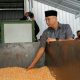 Pemprov Lampung memberikan bantuan alat pengering gabah dan jagung (Dryer Rice Milling Unit/DRMU) berkapasitas 20 ton kepada Koperasi Pertanian Serbajadi Sukses Bersama di Desa Bandarrejo, Kecamatan Natar, Lampung Selatan || Foto: Dinas Kominfotik Provinsi Lampung