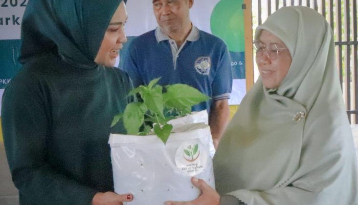 TP PKK Provinsi Lampung Dorong Pemanfaatan Pekarangan Rumah untuk Ketahanan Pangan Keluarga