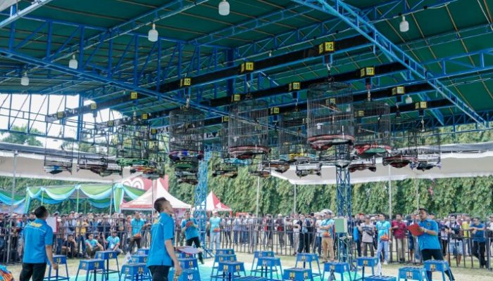 Gubernur Cup 2025, Ajang Silaturahmi Pecinta Burung Kicau Gaungkan Pesan Cinta Lingkungan