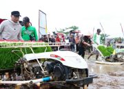 Panen Raya di Trimurjo, Lampung Siap Jadi Garda Terdepan Ketahanan Pangan Nasional