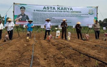 PLN UP3 Pringsewu menunjukkan komitmennya dalam mendukung program ketahanan pangan yaitu dengan penyediaan infrastruktur kelistrikan serta edukasi pemanfaatan listrik yang mampu meningkatkan produktivitas petani || Foto: PLN UP3 Pringsewu