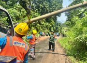 Wujud Komitmen Jelang Hari Pelanggan Nasional, PLN Teluk Betung Gerak Cepat Pulihkan Tiang Roboh