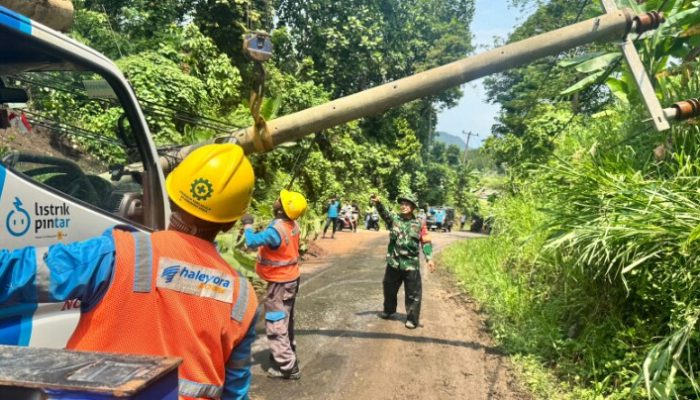 Wujud Komitmen Jelang Hari Pelanggan Nasional, PLN Teluk Betung Gerak Cepat Pulihkan Tiang Roboh