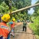 PLN bergerak cepat dengan menurunkan petugas serta kendaraan crane untuk menanam tiang pengganti akibat dari hujan deras yang mengguyur wilayah Lempasing dan sekitarnya || Foto: PLN ULP Teluk Betung