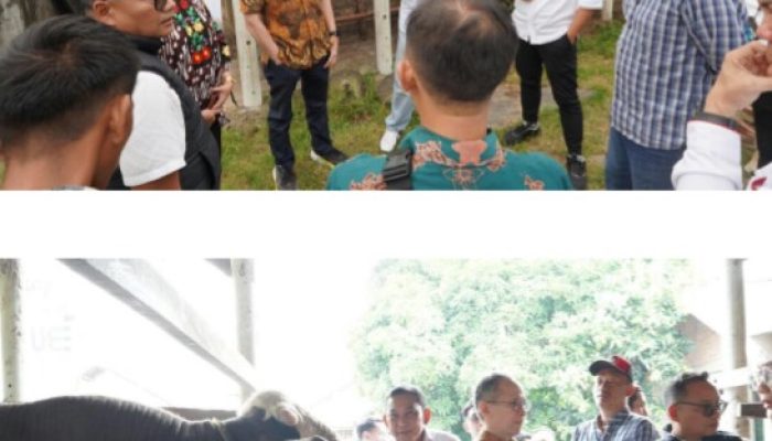 OJK Dorong Ekosistem Peternakan Sapi di Lampung