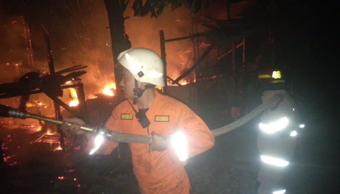 Kandang Ternak Warga Bandar Lampung Terbakar, 15 Kambing dan 2 Ayam Hangus Terpanggang
