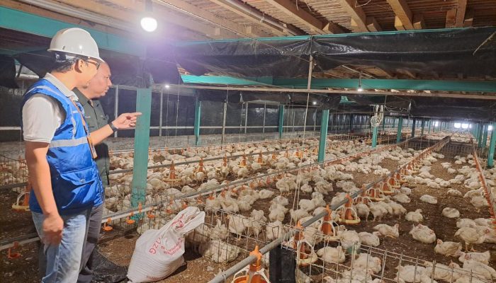 Utamakan Daya Beli Masyarakat, Pemerintah Jaga Tarif Listrik Tetap Terjangkau Sepanjang 2025