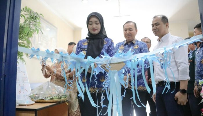 Hari Lansia Sedunia 2025, Wagub Lampung Resmikan Poli Geriatri di RS Natar Medika 