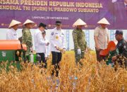 Gubernur saat mendampingi kunjungan kerja Menteri Pertahanan RI bersama Panglima TNI dan Menteri Pertanian RI dalam kegiatan Panen Ketahanan Pangan TNI Angkatan Laut di Prokimal-Kotabumi, Kabupaten Lampung Utara || Foto: Dinas Kominfotik Provinsi Lampung