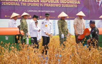 Gubernur saat mendampingi kunjungan kerja Menteri Pertahanan RI bersama Panglima TNI dan Menteri Pertanian RI dalam kegiatan Panen Ketahanan Pangan TNI Angkatan Laut di Prokimal-Kotabumi, Kabupaten Lampung Utara || Foto: Dinas Kominfotik Provinsi Lampung