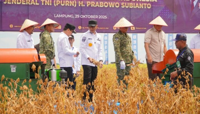 Panen Kedelai Jadi Simbol Kolaborasi Pemerintah dan TNI Wujudkan Kedaulatan Pangan Nasional