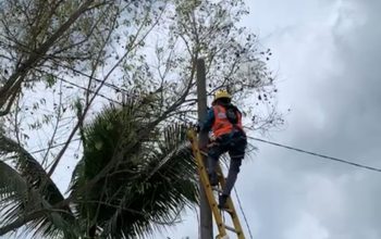 PLN ULP Sribhawono, UP3 Metro, bergerak cepat menanggapi laporan masyarakat terkait potensi bahaya kelistrikan di Desa Soekorahayu, Dusun 2, Kabupaten Lampung Timur || Foto: Istimewa