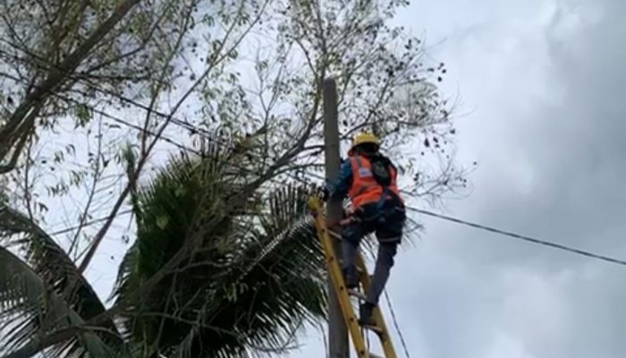 PLN Gelorakan Semangat Pahlawan Lewat Aksi Cepat Tangani Bahaya Kelistrikan di Lamtim