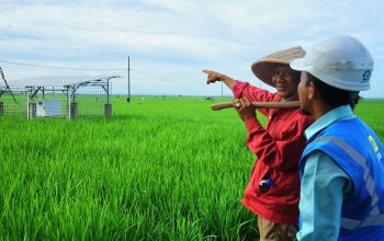 SuperSun PLN berdiri di tepi sawah Trimomukti, menjadi sumber energi bersih yang meringankan pekerjaan petani dan menekan biaya operasional || Foto: PLN
