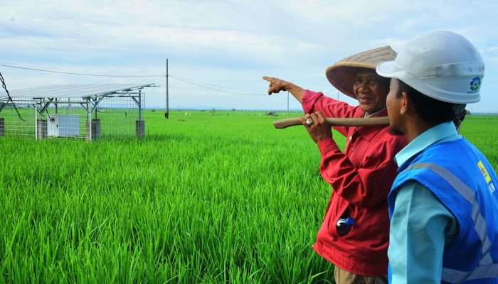 Smart Farming Jadi Solusi Petani Sejahtera di Desa Trimomukti Lampung Selatan
