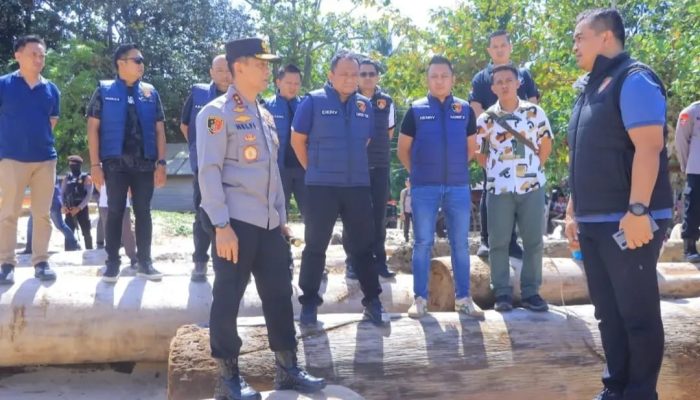 Kayu Terdampar di Pesisir Barat, Gubernur: Bukan Aktivitas Pembalakan di Lampung