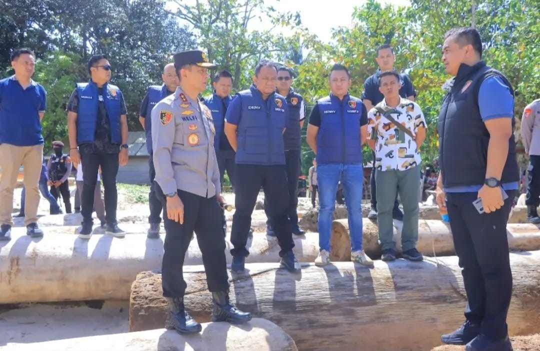 Temuan kayu-kayu yang terdampar di Pantai Tanjung Setia, Pesisir Barat, Provinsi Lampung bukan berasal dari aktivitas pembalakan di Lampung || Foto: Dinas Kominfotik Provinsi Lampung