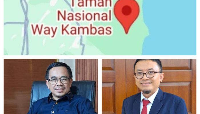 Perdagangan Karbon Jadi Opsi Pendanaan Lingkungan di Lampung