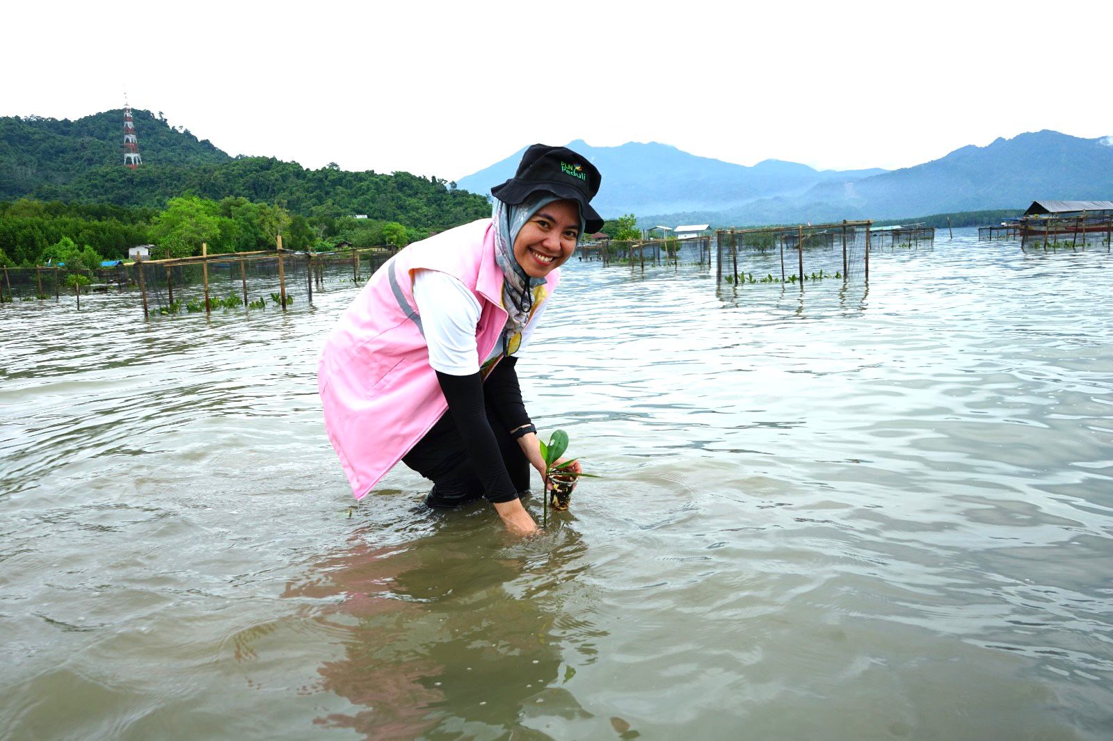Pegawai PLN UID Lampung melakukan penanaman mangrove di pesisir Pesawaran sebagai langkah nyata mendukung mewujudkan keberlanjutan lingkungan bagi generasi mendatang || Foto: PLN UID Lampung
