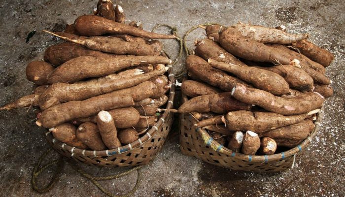 Pemprov Lampung Beri Apresiasi Perusahaan Taat Pergub Tata Kelola Ubi Kayu
