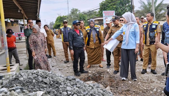 Percepat Penanganan Jalan, Wagub Lampung Tinjau Langsung Perbaikan Ruas Pringsewu–Pardasuka