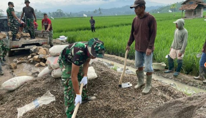 Hari Ketiga TMMD ke-127, TNI dan Masyarakat Gotong Royong Bangun Jalan dan Talud