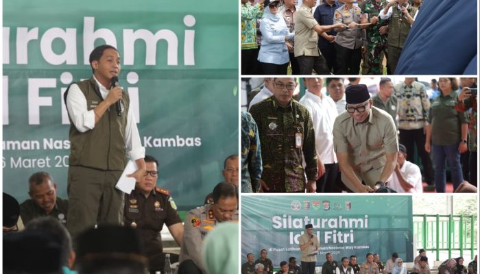 Solusi Permanen Konflik Gajah dan Manusia, Pemerintah Bangun Pembatas 138 Km di Way Kambas