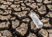 Masuk Pancaroba, Provinsi Lampung Terindikasi Rawan El Nino