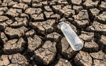Ilustrasi kekeringan || Foto: Freepik