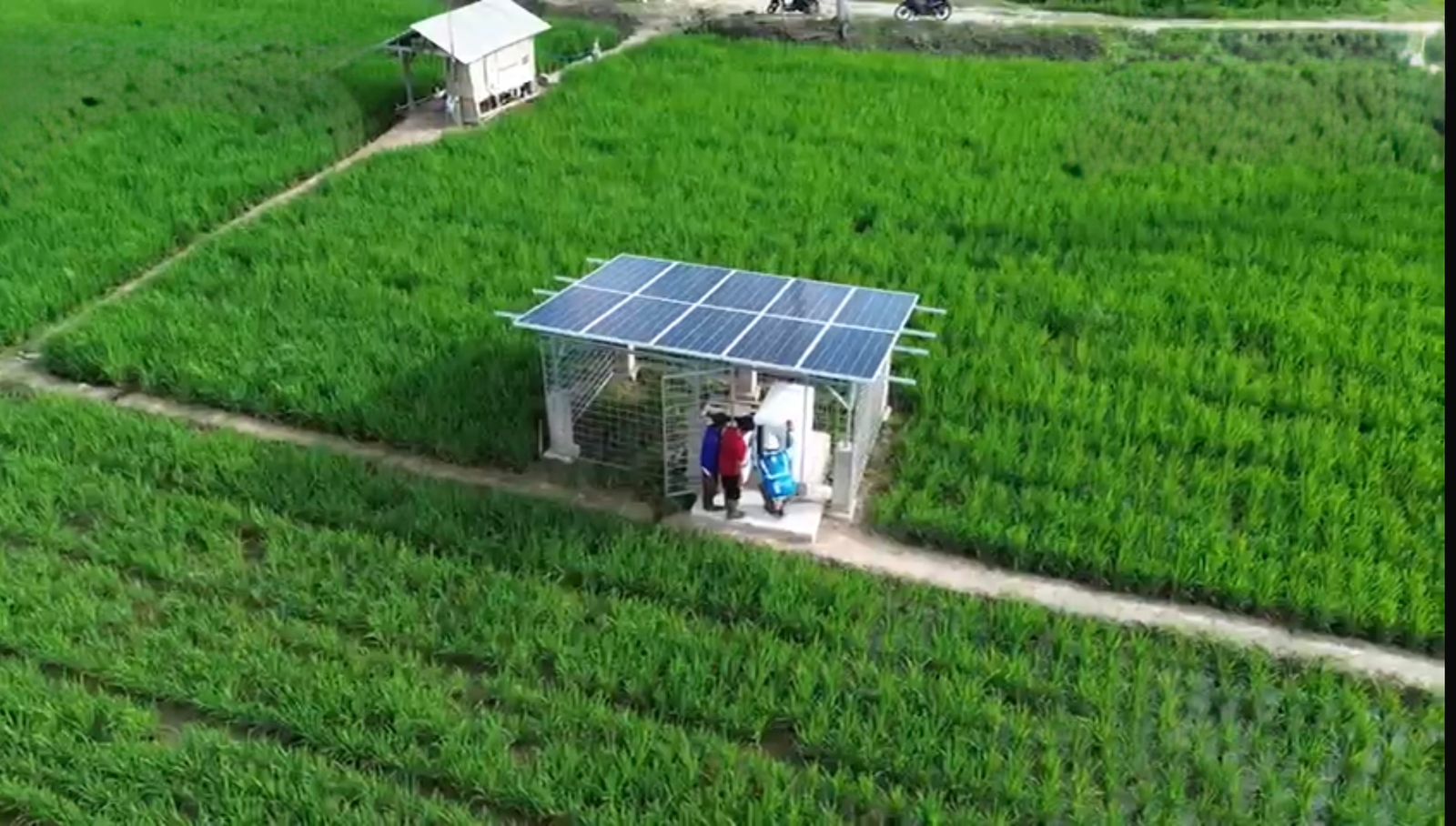 Hadir di tengah hamparan sawah, SuperSun PLN menjadi wujud nyata pengembangan energi ramah lingkungan. PLN UID Lampung terus mendorong pemanfaatan energi bersih sebagai solusi berkelanjutan yang memberi nilai tambah bagi pelanggan dan lingkungan || Foto: PLN UID Lampung