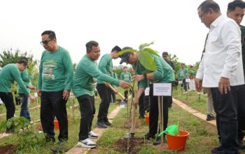 Pemprov Lampung dan Pemerintah Pusat Perkuat Kolaborasi Wujudkan Program 3 Juta Rumah