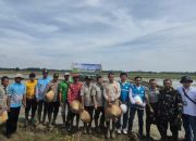 Akselerasi Ketahanan Pangan Daerah, PLN Hadirkan Listrik Andal untuk Pertanian Modern