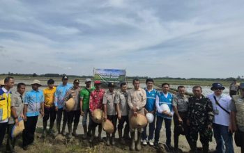 Akselerasi Ketahanan Pangan Daerah, PLN Hadirkan Listrik Andal untuk Pertanian Modern