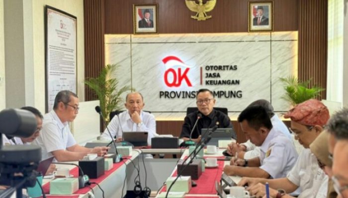 Bersama Pemprov Lampung, OJK Jalani Pembahasan Strategis Obligasi Daerah