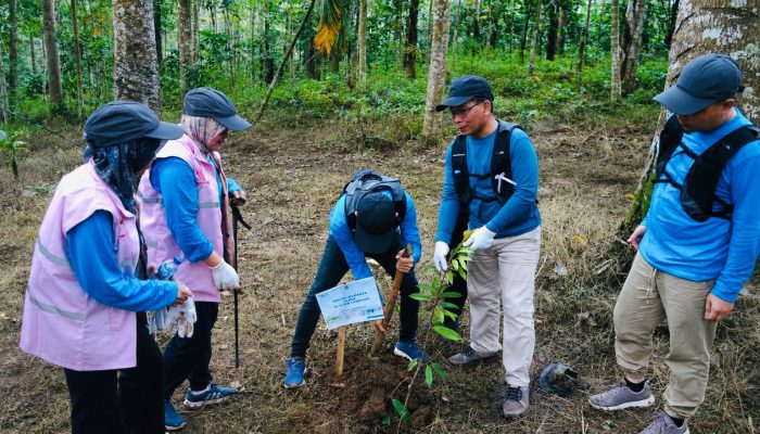 Peringati Hari Lingkungan Hidup Sedunia, PLN UID Lampung Gelar Aksi Penanaman Pohon
