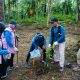 Peringati Hari Lingkungan Hidup Sedunia, PLN UID Lampung Gelar Aksi Penanaman Pohon