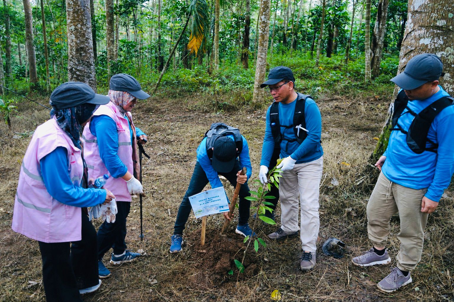 Dalam rangka Hari Lingkungan Hidup Sedunia, insan PLN UID Lampung turut ambil bagian dalam aksi penanaman pohon sebagai bentuk komitmen menjaga kelestarian lingkungan dan mendukung masa depan yang lebih hijau serta berkelanjutan || Foto: PLN UID Lampung