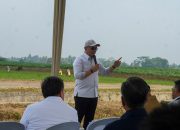 Wakil Menteri Investasi dan Hilirisasi/Wakil Kepala BKPM RI Todotua Pasaribu bersama Gubernur Lampung Rahmat Mirzani Djausal usai menghadiri Rapat Koordinasi dan Sinergitas Pembangunan Pabrik Bioetanol yang berlangsung di Ruang VVIP Lounge Bandara Raden Inten II, Lampung Selatan || Foto: Dinas Kominfotik Provinsi Lampung