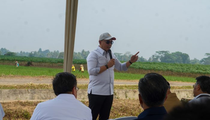 Lampung Dorong Investasi Energi Hijau, Proyek Bioetanol Siap Dikembangkan