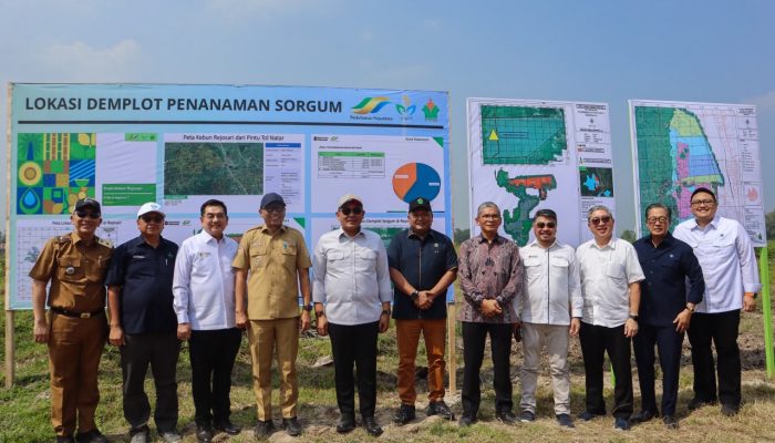 Lampung Disiapkan Jadi Pusat Bioetanol Nasional, Wamen Investasi Tinjau Lokasi Pabrik di Lamsel