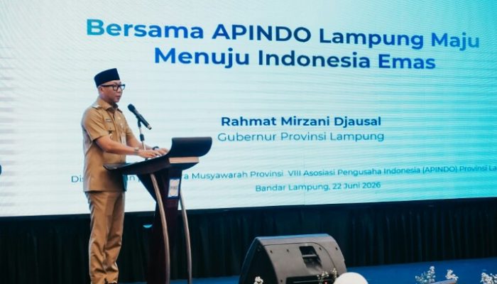 Gubernur Lampung Ajak APINDO Perkuat Kolaborasi Bangun Ekonomi Lampung yang Inklusif
