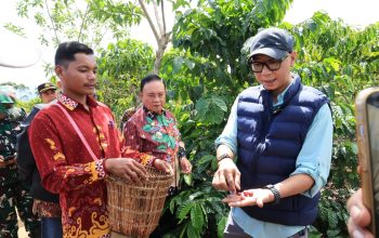Gubernur Lampung Rahmat Mirzani Djausal meninjau Kebun Induk Hanakau milik UPTD Balai Benih dan Kebun Induk (BBKI) Dinas Perkebunan Provinsi Lampung di Pekon Hanakau, Kecamatan Sukau, Kabupaten Lampung Barat || Foto: Dinas Kominfotik Provinsi Lampung